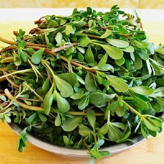 USD 7.13 USD 7.13(USD 0.02 USD0.02/count)